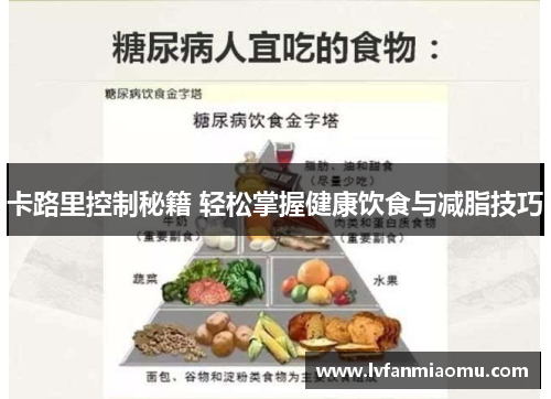 卡路里控制秘籍 轻松掌握健康饮食与减脂技巧