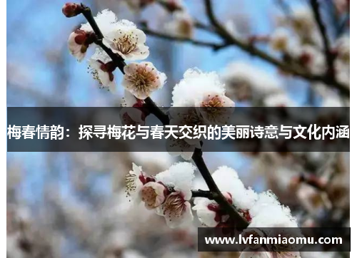 梅春情韵：探寻梅花与春天交织的美丽诗意与文化内涵