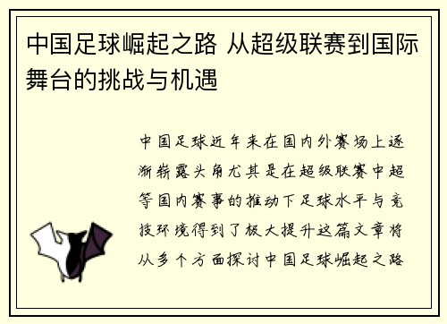 中国足球崛起之路 从超级联赛到国际舞台的挑战与机遇