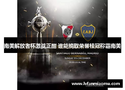南美解放者杯激战正酣 谁能摘取荣誉桂冠称霸南美